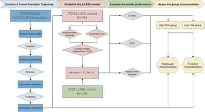 The Prognostic Model Based on Tumor Cell Evolution Trajectory Reveals a Different Risk Group of Hepatocellular Carcinoma